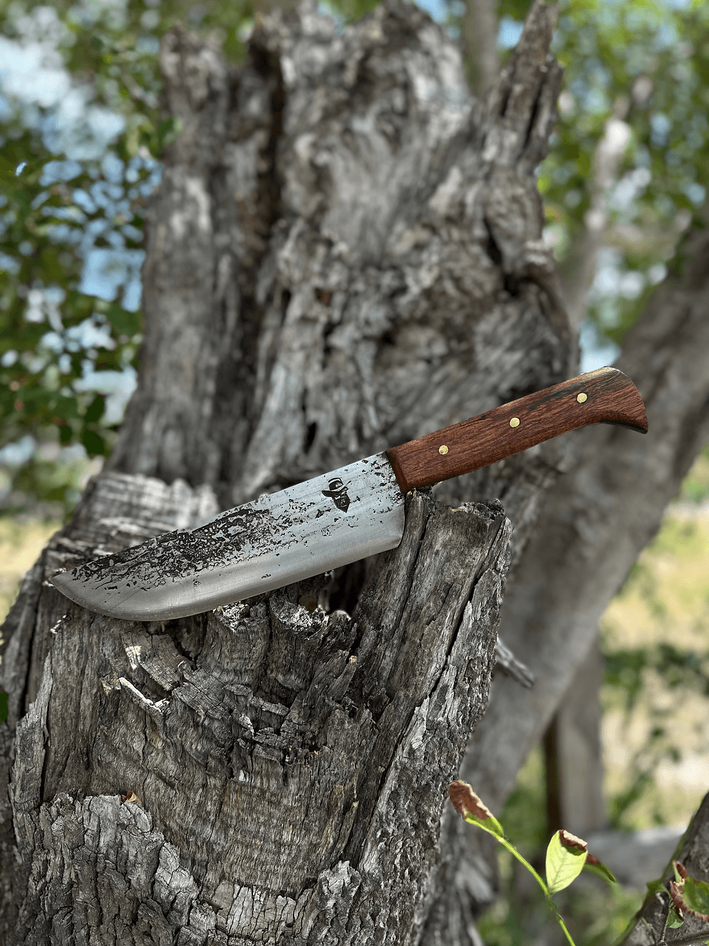Kitchen Knife (Mesquite)