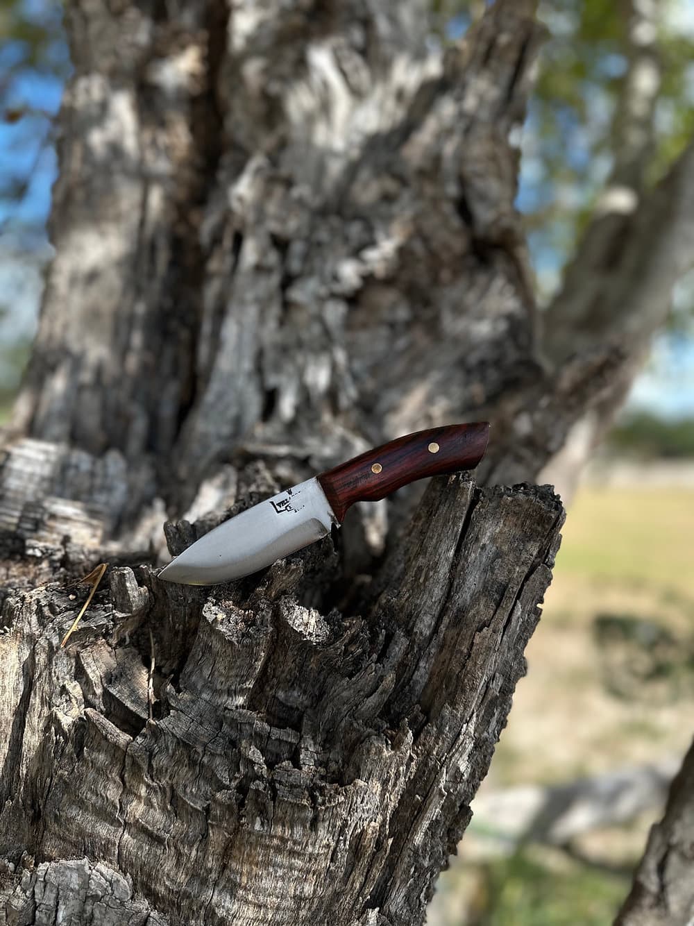 Bandit Knife Compact