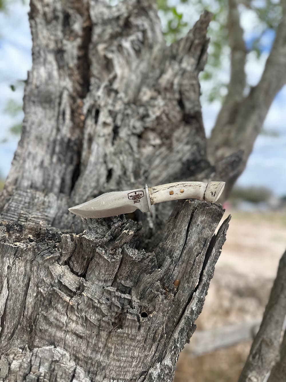 Custom Design (D2 Steel)