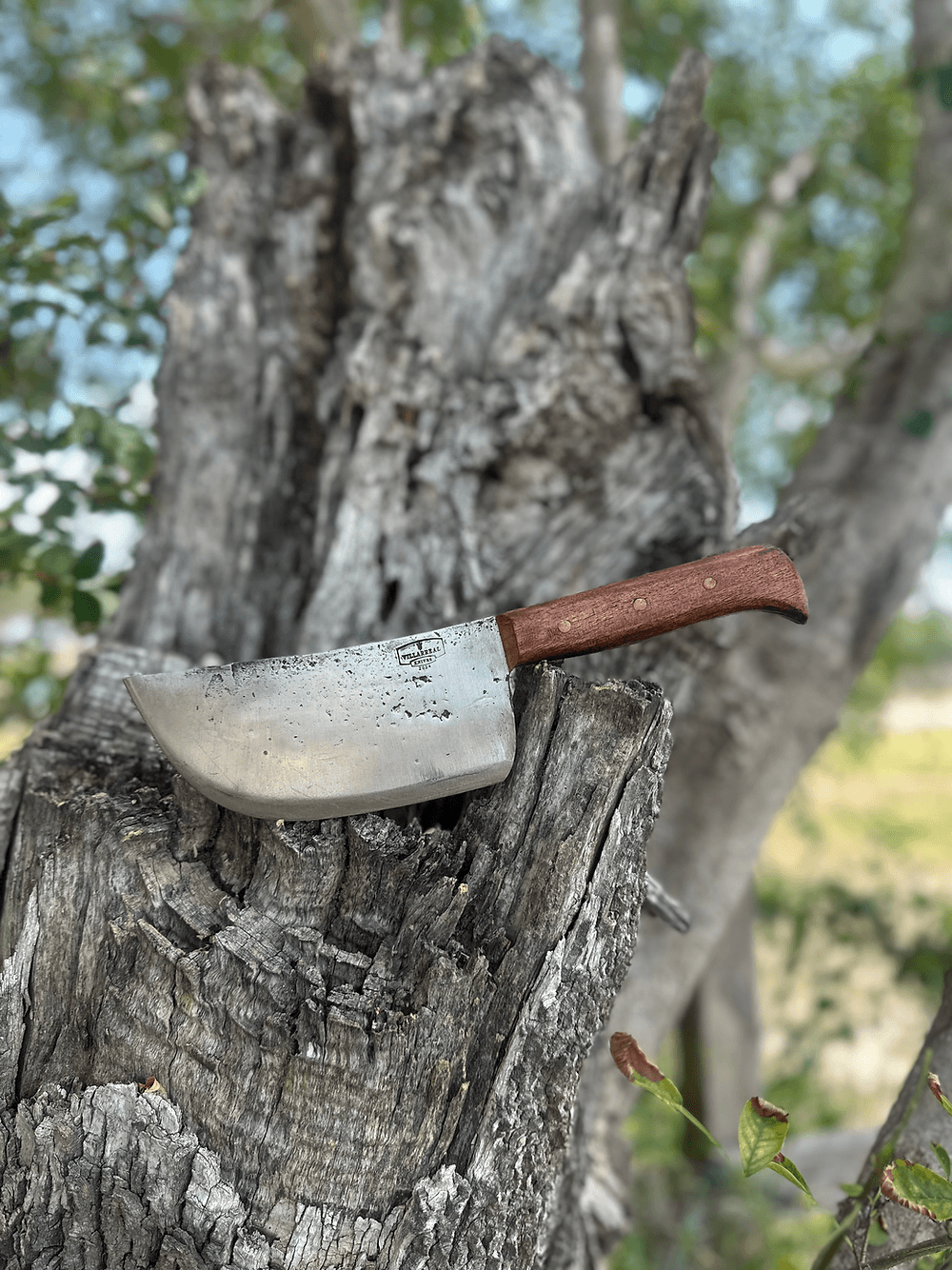 Standard Cleaver 6’ (Mesquite)