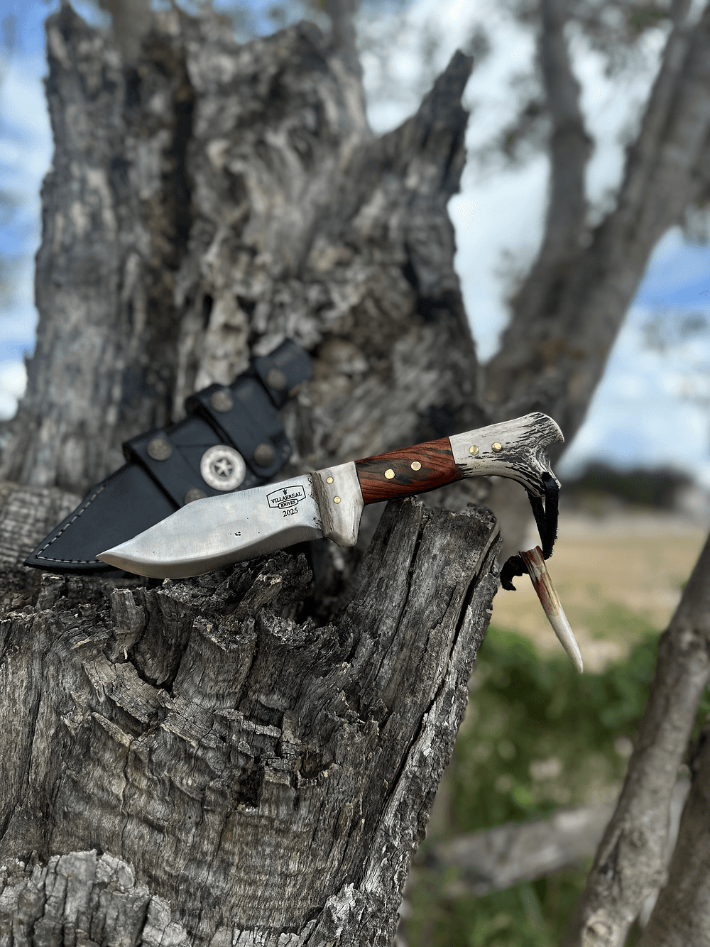 Texas Ranger (Cocobolo/Antler)