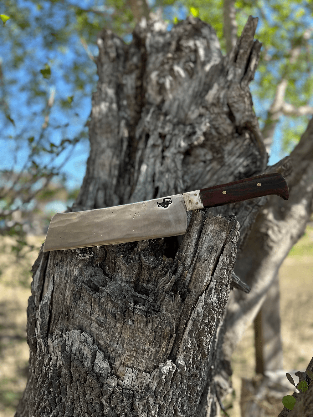 Santo Knife 8’ (Cocobolo)