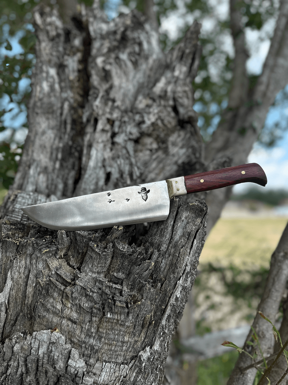 Kitchen Knife (Cocobolo)