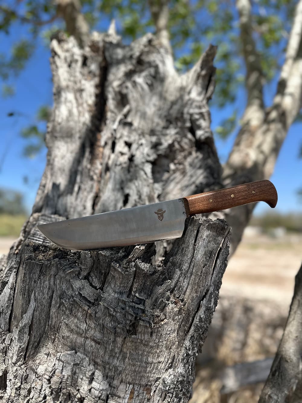 Kitchen Knife 9’ (Mesquite)