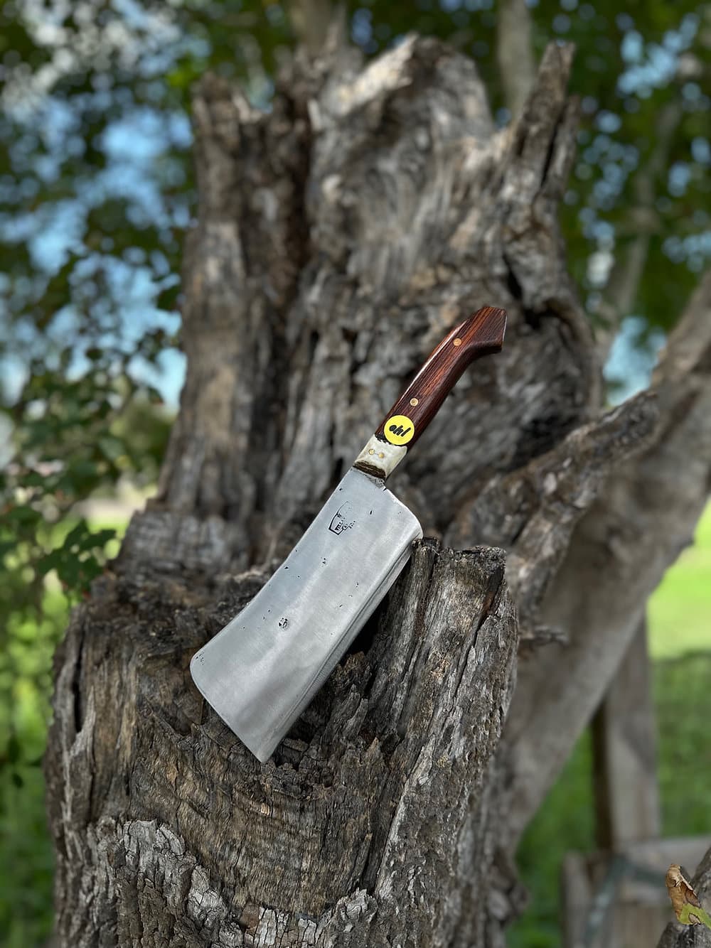 Square Cleaver 7’ (Cocobolo)
