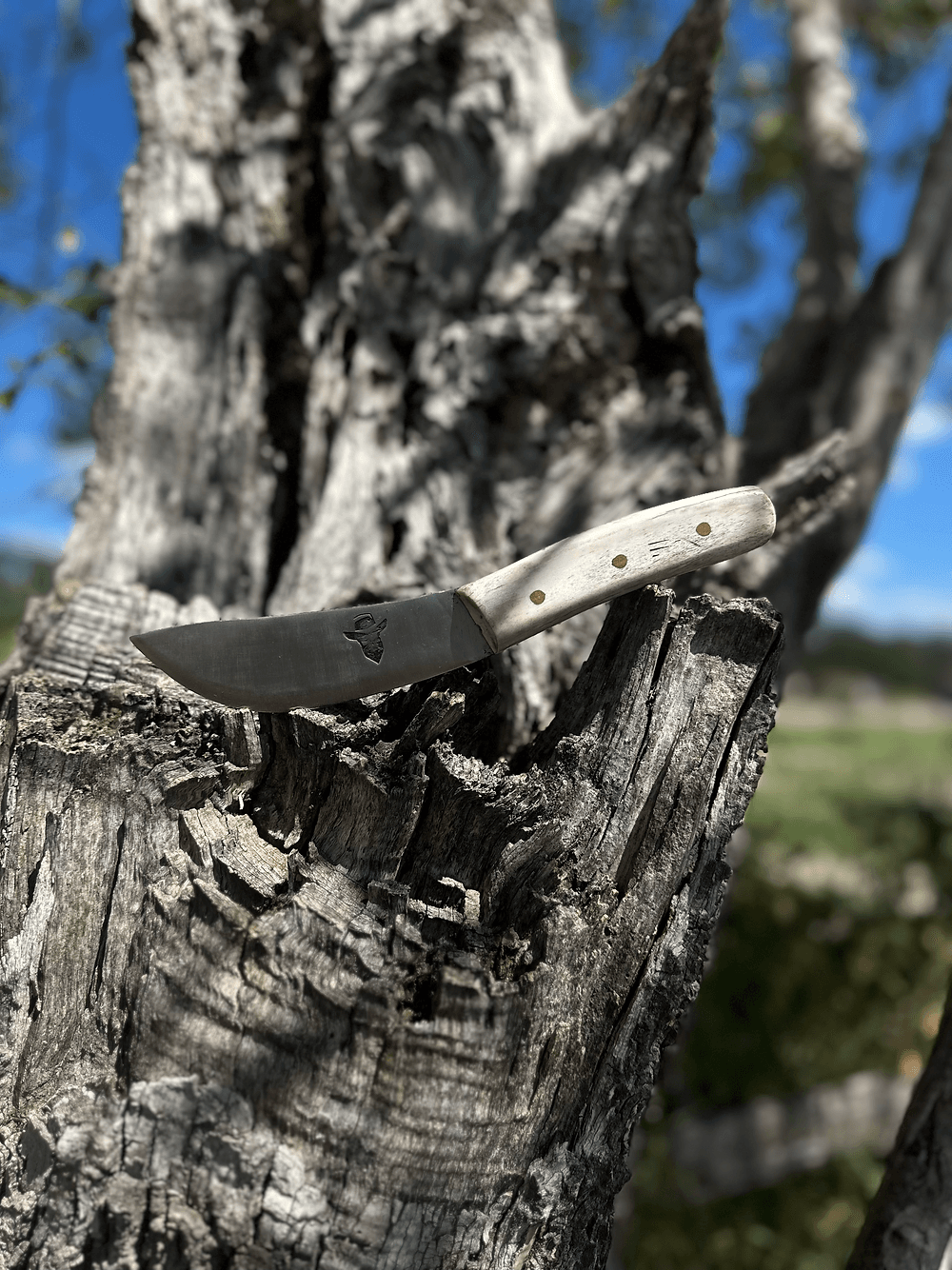 Skinning Knife (Antler)