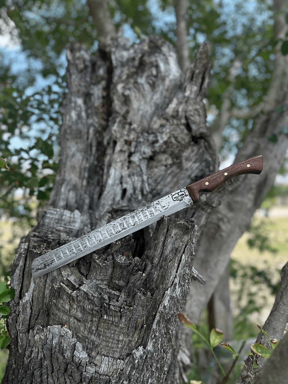 Brisket Knife (Mesquite)
