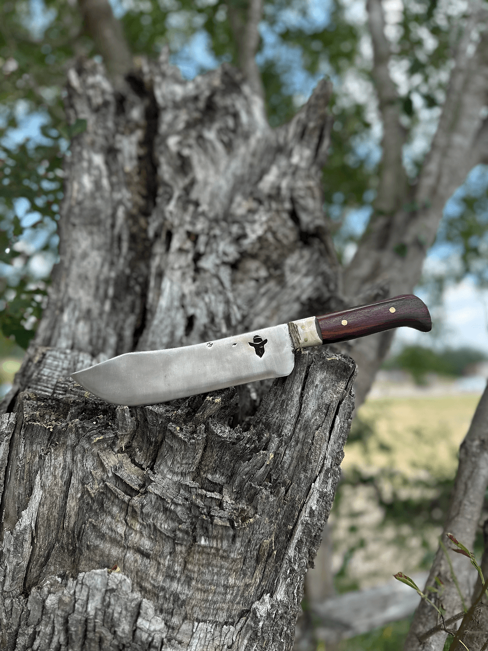 Butcher Knife 8’ (Cocobolo)