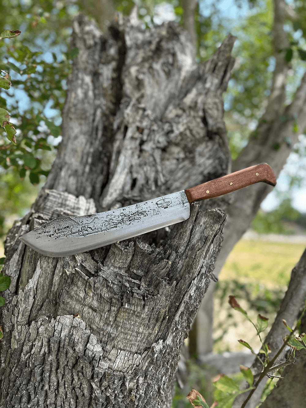 Butcher Knife 10’ (Mesquite)