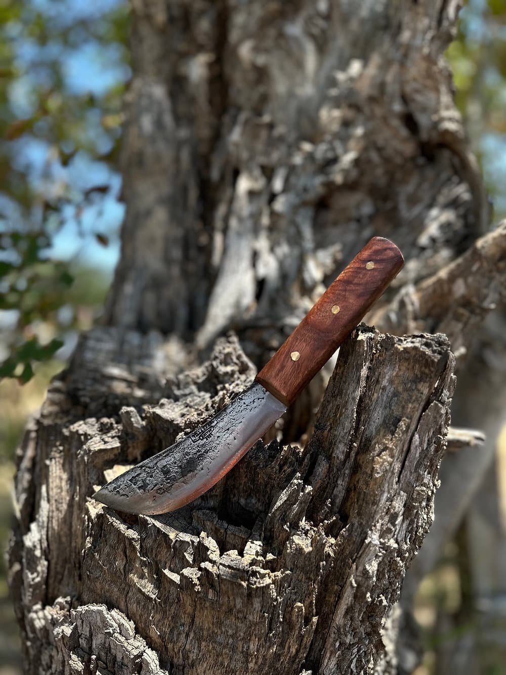 Skinning Knife (Mesquite)