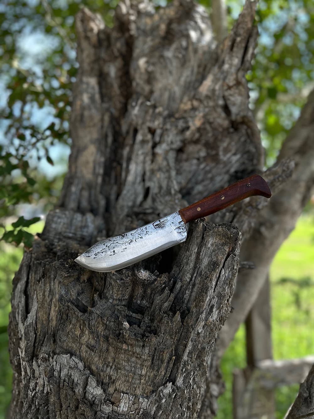 Butcher Knife 6’ (Mesquite)